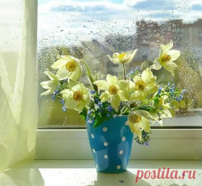 Всё обойдётся... Всё будет в порядке...