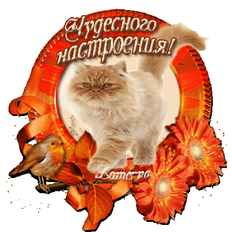 Каждый трек трогает душу...