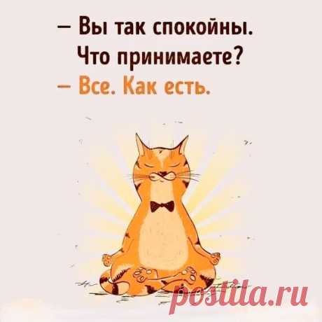 (6) Pinterest