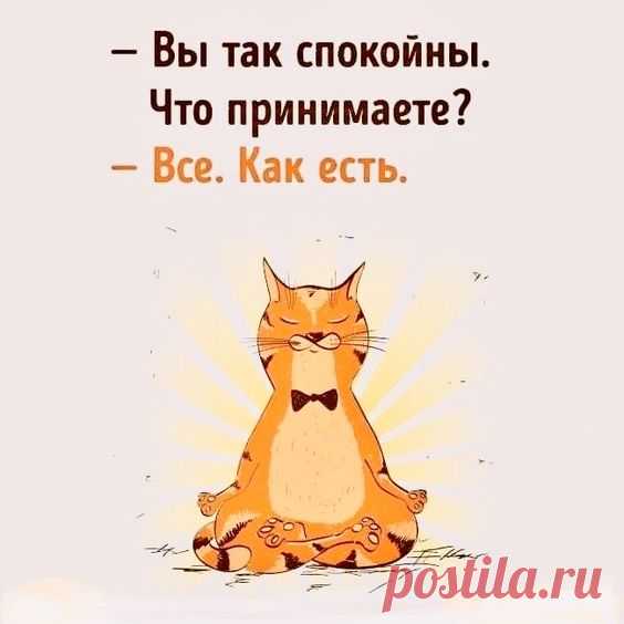 (6) Pinterest