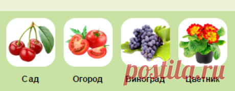 Сода повысит урожайность огурцов и помидоров на 20-30%