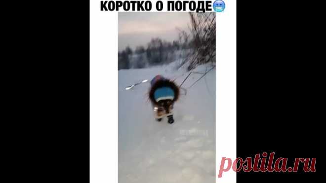 Холодина какая!)))))))))