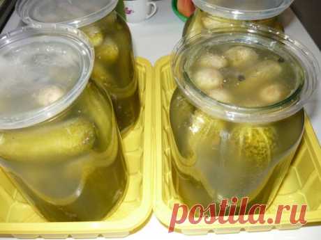 "Огурцы из-под крана".