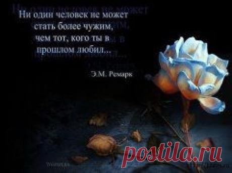 (49) Одноклассники