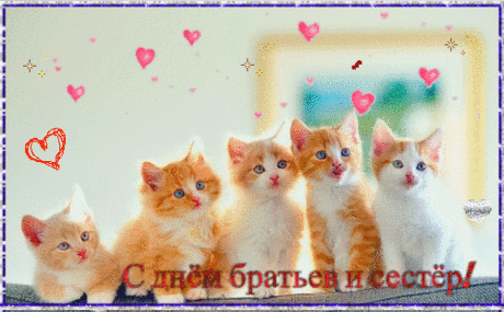 В день братьев и сестер
Хочу тебя поздравить,
И связь, что между нами,
На все года восславить.