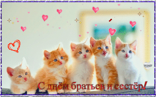 В день братьев и сестер
Хочу тебя поздравить,
И связь, что между нами,
На все года восславить.