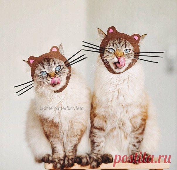 Street Styler | Уличная мода | ВКонтакте