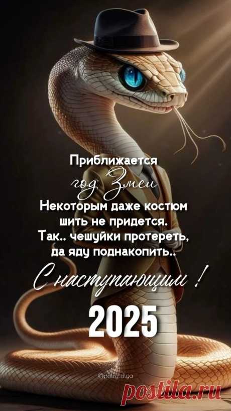 Изображение пина-истории