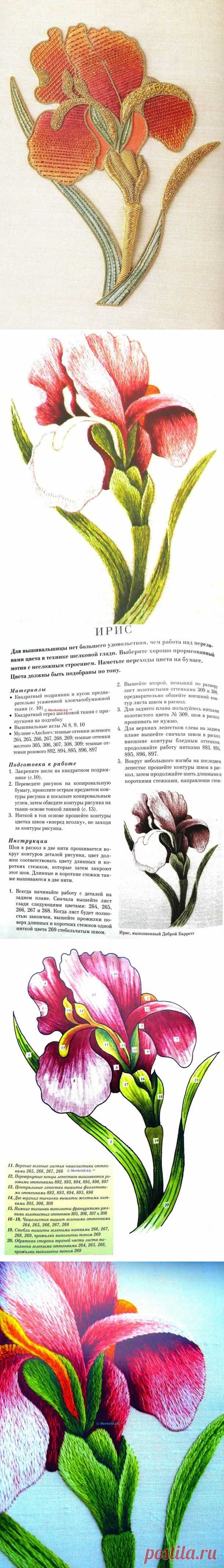Вышиваем Ирис гладью в технике Английской королевской школы вышивания RSNET