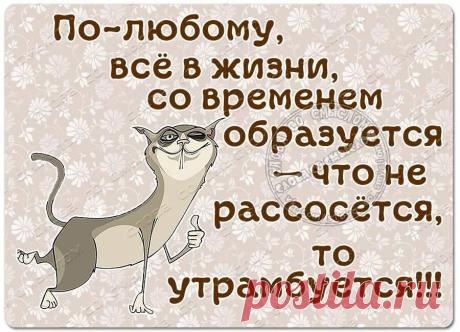 прикольные цитаты о жизни с юмором в картинках: 6 тыс изображений найдено в Яндекс.Картинках