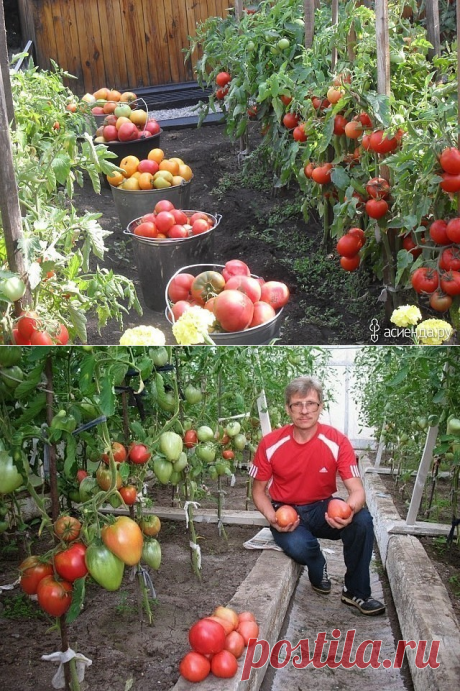 (69) Одноклассники