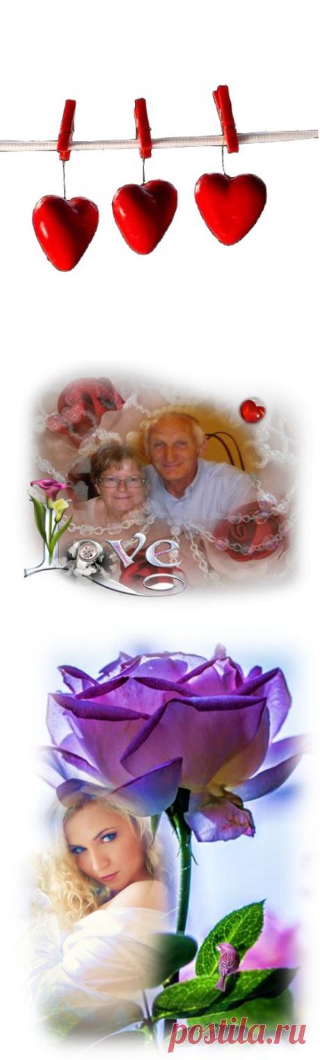 fleurdemai 'Профиль Ростов »Ма Planète PPS / имеет СЛАЙДШОУ