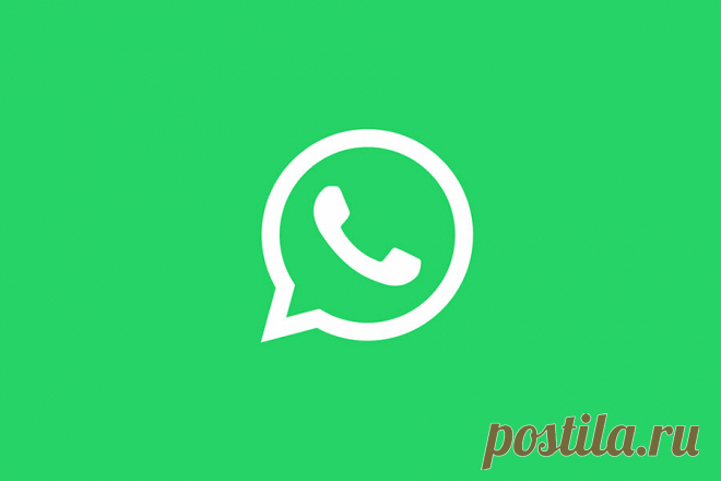 Родственники присылают много фото и видео на What's App и всё сохраняется на телефон? Показываю как убрать автосохранение | Типичный программист | Яндекс Дзен