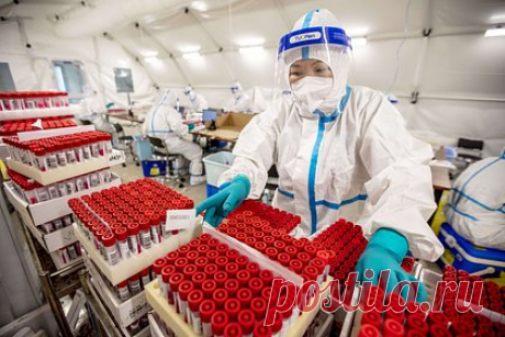 ВОЗ прекратит расследовать происхождение коронавируса. Всемирная организация здравоохранения (ВОЗ) решила приостановить дальнейшее расследование происхождения коронавируса из-за проблем со сбором данных. Согласно первому расследованию, проведенному ВОЗ в 2021 году, COVID-19 возник в результате распространения вируса среди животных.