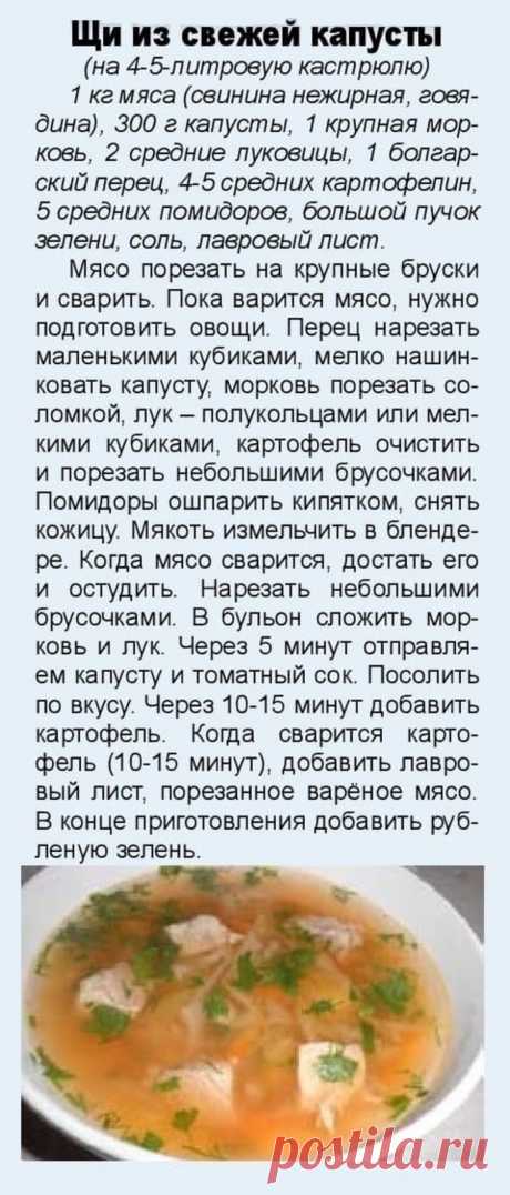 Щи из свежей капусты