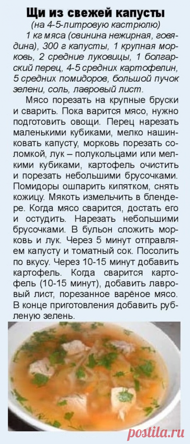 Щи из свежей капусты