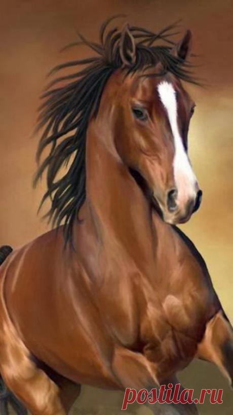 Найдено на сайте lovejolynnblr.tumblr.com.