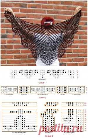 Шаль Hyrna |  Шали, палантины и шарфы