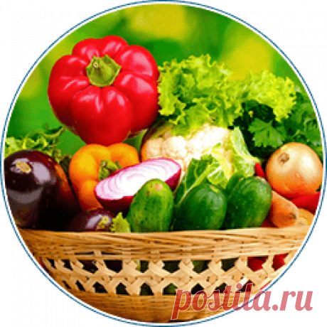 Парник Подснежник™