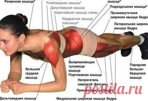 ОДНО ПРОСТОЕ УПРАЖНЕНИЕ, КОТОРОЕ УКРЕПИТ ВСЕ МЫШЦЫ ВАШЕГО ТЕЛА