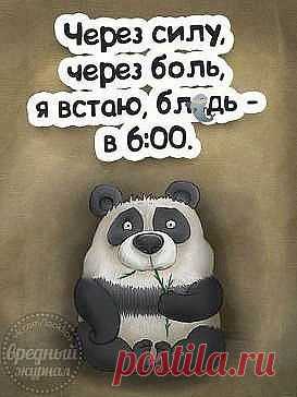 Одноклассники