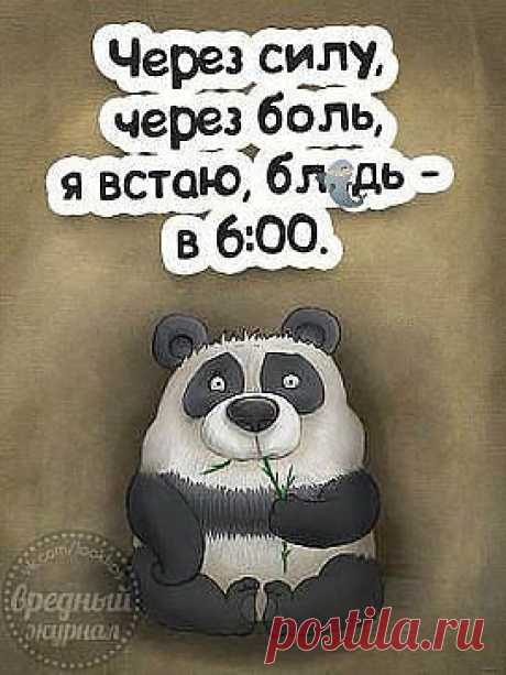 Одноклассники
