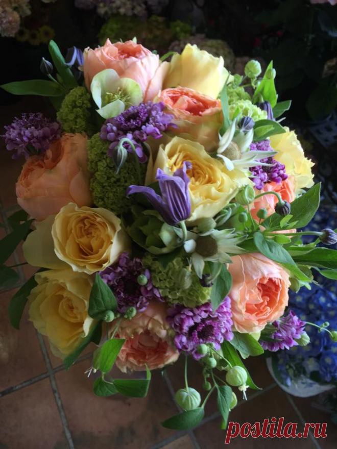 флористика