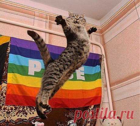 (72) Одноклассники