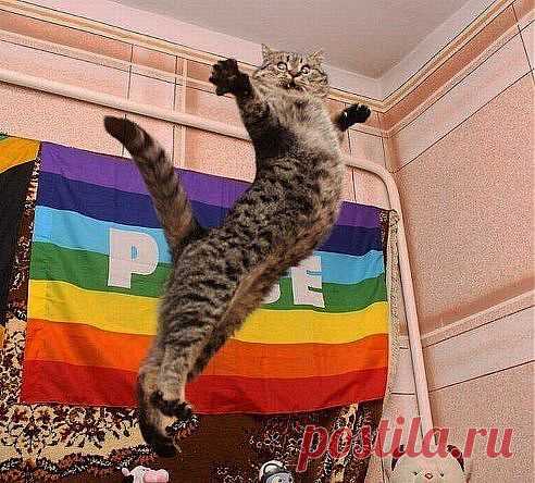 (72) Одноклассники