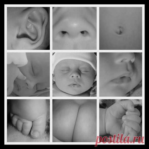 идея для фото  :)