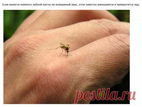 Полезные советы | Записи в рубрике Полезные советы | Дневник LediLana &quot; О самом интересном и познавательном&quot;