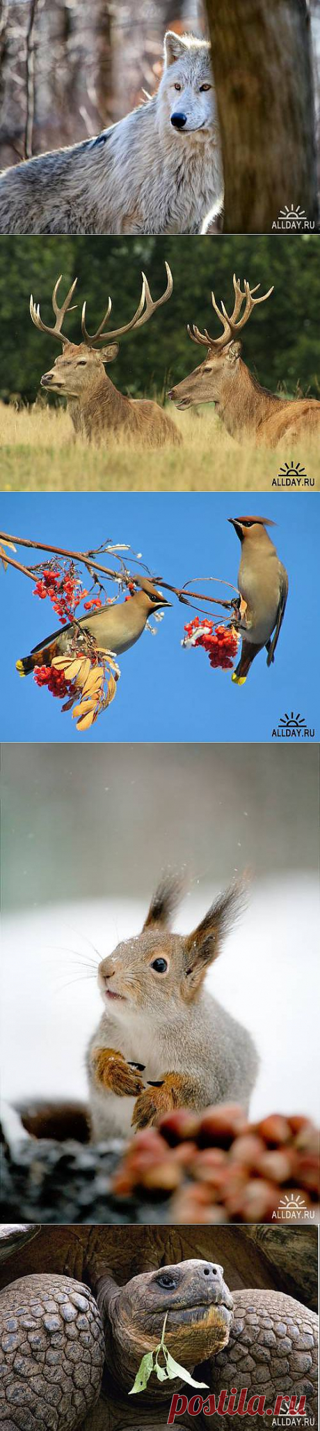 Мир в Фотографии - World In Photo 592 &amp;raquo; ALLDAY - народный сайт о дизайне