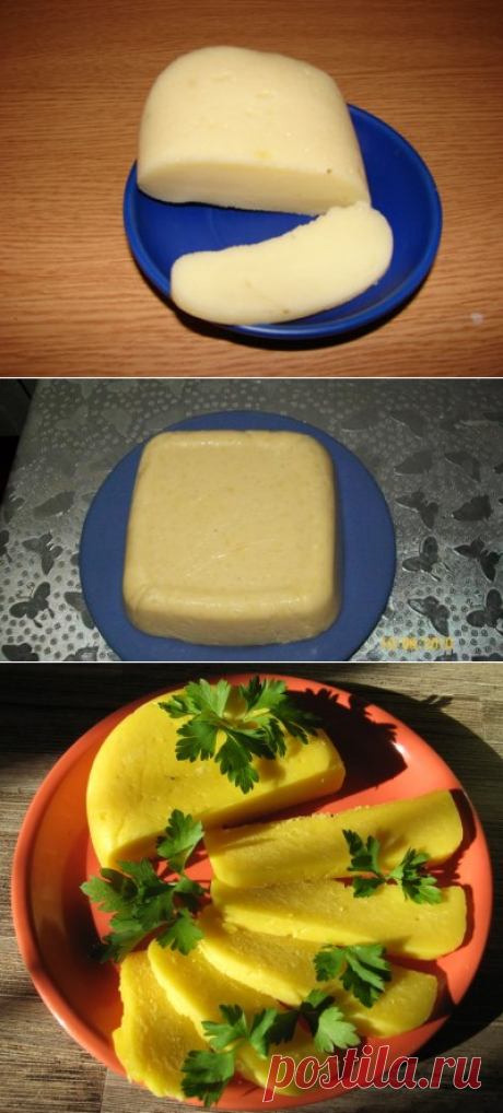 Твердый сыр