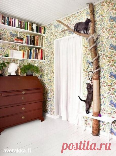Создание уникальной когтедралки для котов Создание уникальной когтедралки для котовСоздание уникальной когтедралки для котов не только поможет питомцам найти правильный выход энергии, но и защитит мебель.Можно использовать куски стволов деревьев и меньшего размера.