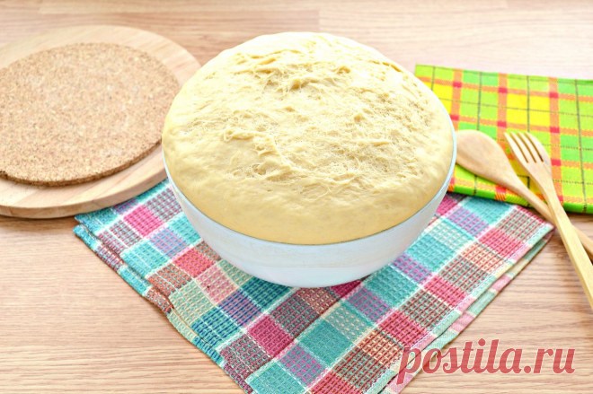 Дрожжевое тесто для курника на молоке