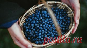 Не оставляйте на потом дела, - Стихи и Проза Не оставляйте на потом дела,Не прячьте в стол написанные письма,Не хороните в ящике столаКому-то адресованные мысли. Не бойтесь правды, презирайте лестьИ не терпите наглости и хамства.Короткое, как выстрел, слово «честь»Не путайте с пузатым словом «чванство». На брудершафт не пейте с дураком.Не лебезите перед тем, кто выше.И не жалейте тех, кто далеко,Под боком крика помощи не …