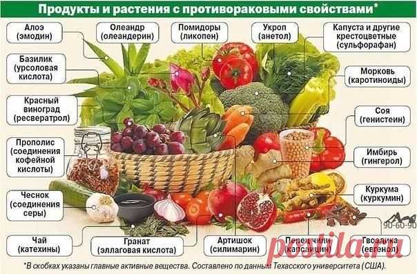 (5) Фото Хроники - Красотка: стройность, красота, здоровье
