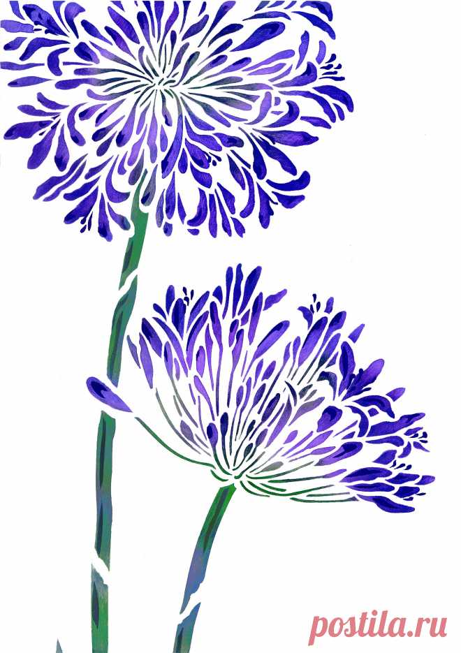 Large Agapanthus Stencil - Henny Donovan Motif Exquisite large 2 sheet flower stencil
The Large Agapanthus Stencil - based on Henny's closely observed drawings of the beautiful agapanthus flower. The Large Agapanthus Stencil perfectly captures the stately elegance of the Agapanthus (African Lily) in full bloom. This design is perfect for creating modern feature walls, panels and fabric drops.

Use tones of purple, lilac, blue and green for a clean, fresh modern look, or st...