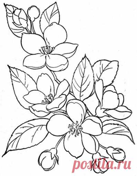 (9) Pinterest • Всемирный каталог идей