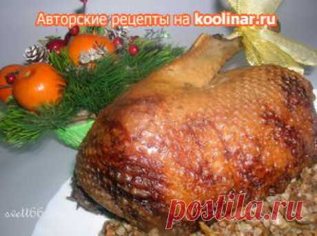 ГУСЬ РОЖДЕСТВЕНСКИЙ с гречкой и белыми грибами пошаговый рецепт с фотографиями