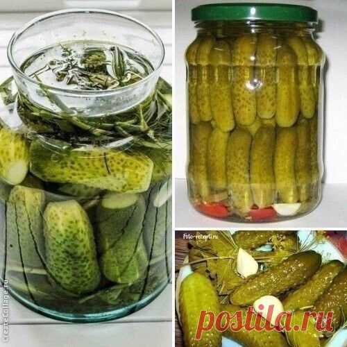 Сохраняйте хороший рецепт для себя!  Ну очень вкусные огурчики!

Садовая фея - полезные советы и идеи для дачи, сада и огорода каждый день!


Показать полностью...
