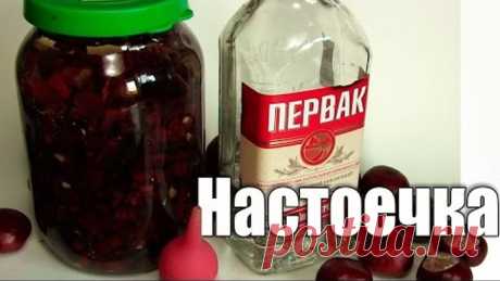Делаем настойку каштана