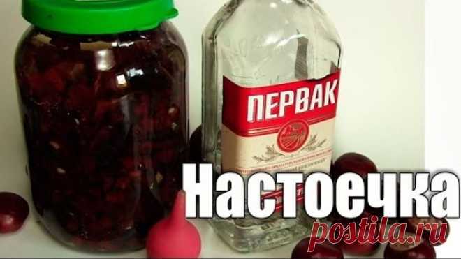 Делаем настойку каштана
