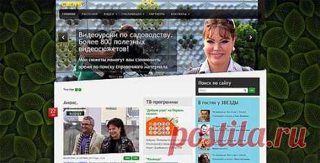 Платонова Ольга,- Мои работы, Телевидение, Авторские телевизионные программы, - Платонова Ольга,- Мои работы.