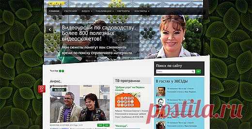 Платонова Ольга,- Мои работы, Телевидение, Авторские телевизионные программы, - Платонова Ольга,- Мои работы.