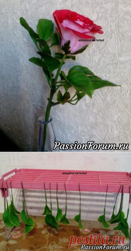ДВУХЦВЕТНАЯ РОЗА ИЗ ХОЛОДНОГО ФАРФОРА