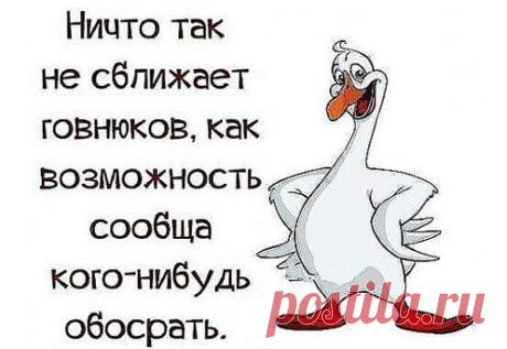 Ольга: Сдаю дом в Суздале