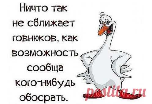 Ольга: Сдаю дом в Суздале