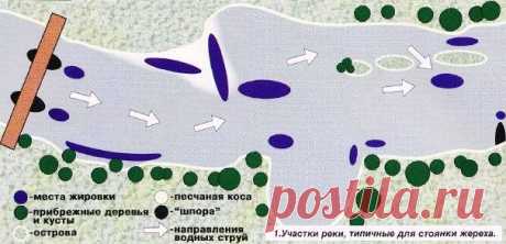 Ловля жереха на перекате » infofishing.ru
