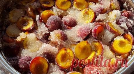 Как я варю варенье на зиму из сливы, опыт настоящего гастронома — читать на Gastronom.ru